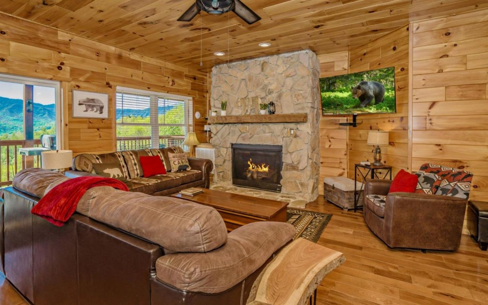 Beartastic Mountain View Lodge Main image