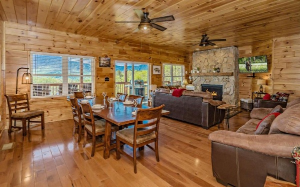 Beartastic Mountain View Lodge image 13