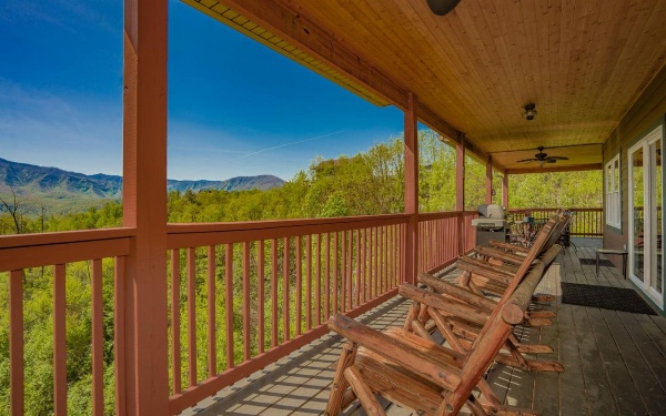 Beartastic Mountain View Lodge image 3